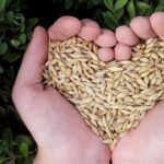 The First Wealth is Health” – Why Your Plate is Your Greatest Investment